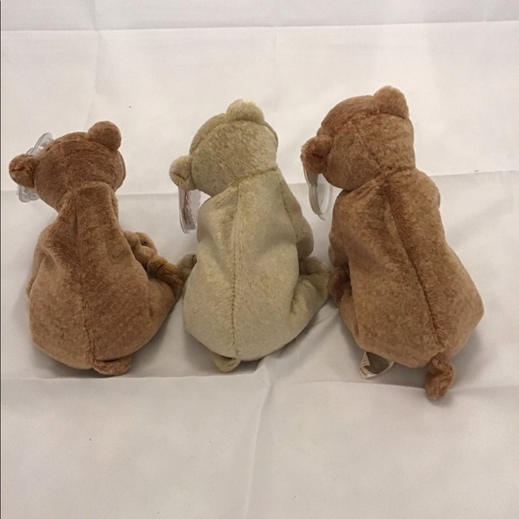 Ty Beanie Babies Almond and Pecan (2) Bears NWT - Picture 2 of 9